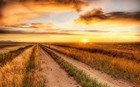Picture for song 'Country Breeze (Instrumental)' by artist 'Draper'