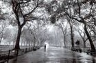 Picture for song 'ANOTHER RAINY DAY' by artist 'Dr. Bob's Jazz - Benefit Boppin' Quartet - JBBQ'