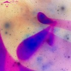 Picture for song 'Geminis' by artist 'ech0finder'