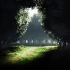 Picture for song 'light the dark.mp3' by artist 'el keybeer production'