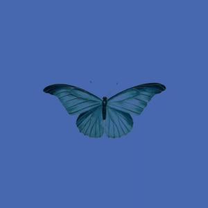 Picture for song 'FREESTYLE TYPE BEAT - BUTTERFLIES' by artist 'Far Out Beats'