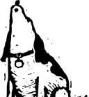 Picture for song 'Loud Dog Blues (re-mixed)' by artist 'GypsyHook'