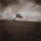Picture for song 'Gone Is the Day' by artist 'Happy Accident'