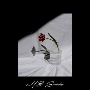 Picture for song 'ONLY IF YOU KNEW (165 BPM)' by artist 'HB Soundsz'