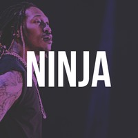 Picture for song 'Ninja ..::GANGSTA::.. ' by artist 'HEATONDABEAT'