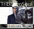 Picture for song 'TribalismSoul' by artist 'HORIZONS PROJECT'