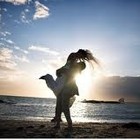 Picture for song 'Immaculate Romance (Instrumental) Free Download!' by artist 'I C Y'
