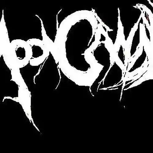 cover pic