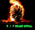 Picture for song 'Rage - Insane BURIAL(DRAWRY DISS)' by artist 'MC Rage'