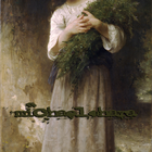 Picture for song 'Whatever May Come' by artist 'Michael V O'Hara'