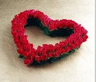 Picture for song 'Love Aint An Option (REAL MUSIC) Free DL' by artist 'Mr.Kooman'