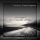 Picture for song 'Simfonia MareNostrum-Mov2-Les Ones Suren la Platja' by artist 'Nelman Music System'