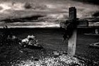 Picture for song 'down into the ground' by artist 'N J Buckingham'