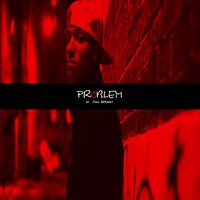 Picture for song 'Problems' by artist 'Paul Magnet'