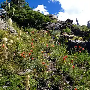 Picture for song 'The Hope' by artist 'Phillip Lovgren'