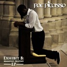 Picture for song '02 Manifest Destiny' by artist 'Poe Picasso'