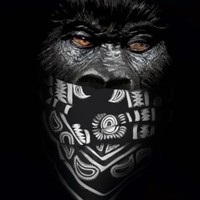 Picture for song 'TI Type Beat' by artist 'SJS MUSIC STUDIO'