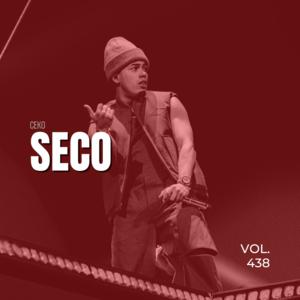 Picture for song 'Seco - Myke Towers x Darell Type Beat' by artist 'SKorpio8'