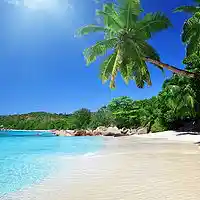 Picture for song 'La Cumbia ' by artist 'SkyWalkersbeats'