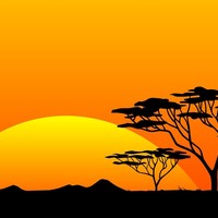 Picture for song 'summer safari' by artist 'Stockwrock'