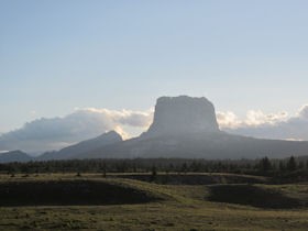 Picture for song 'The State I'm In' by artist 'Terry Taylor'