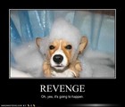 Picture for song 'DDR Revenge' by artist 'The Bravos Nation'