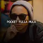 Picture for song '~ Pockets Fulla Mula ~' by artist 'The Track Gods'
