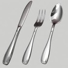 Picture for song 'I'm a Boy' by artist 'The Utensils'