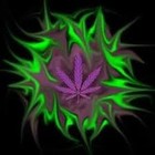 Picture for song 'Dro In A Bag' by artist 'Twenty Money'