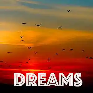 Picture for song 'Dreams (Mastered with Clear Sky at 25pct)' by artist 'V'DO-It'