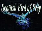 Picture for song 'Scottish Bird of Prey' by artist 'WebWorks James Stonecipher'