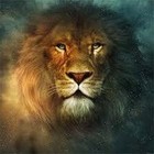 Picture for song 'The Land of Narnia' by artist 'Wide Range Music'