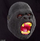 Picture for song '' by artist 'YATTA IMEAN'