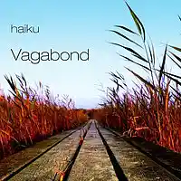 Picture for song 'IC Lykketog' by artist 'haiku (DK)'