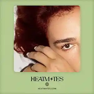 Picture for song 'Looses (Dua Lipa x Charlie Puth)' by artist 'HEATMATES'