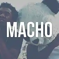 Picture for song 'Macho ..::GANGSTA::.. ' by artist 'HEATONDABEAT'