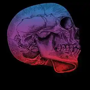 Picture for song 'SOBER' by artist 'HOLLYWOOD LEGEND PRODUCTIONS'