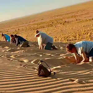 Picture for song 'Gobi Desert' by artist 'Jammer59'