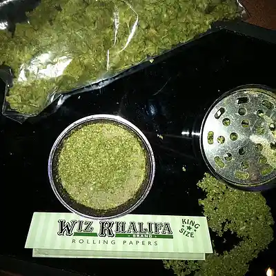 Picture for song 'Blowing Kush' by artist 'King York Production'