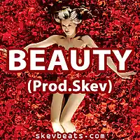 Picture for song 'Soulful Hip Hop - Beauty (Prod. Skev)' by artist 'Skev Beats'