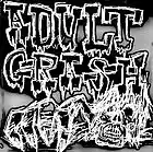 Picture for song 'We Are The Ones' by artist 'Adult Crash'