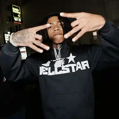 Picture for song 'Lil Scoom89 X Chuckyy Type Beat "ROOKIE' by artist 'prod.umbrellaa'