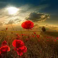 Picture for song 'The Ballroom - 3515 1030 PM' by artist 'King James Entertainment'