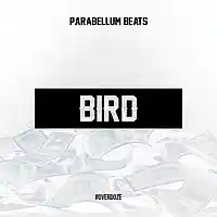 Picture for song 'Bird' by artist 'Parabellum Beats'