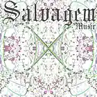 Picture for song 'Stoners Anthem **NEW**FREE DOWNLOAD**' by artist 'Salvagem Music'