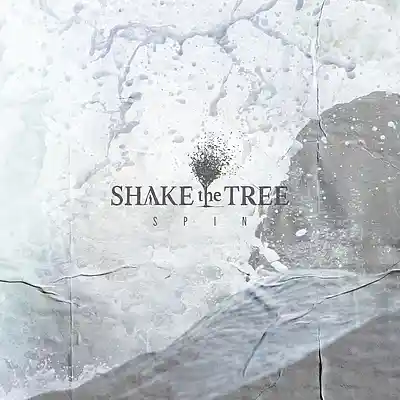 Picture for song 'Spin' by artist 'Shake the Tree'