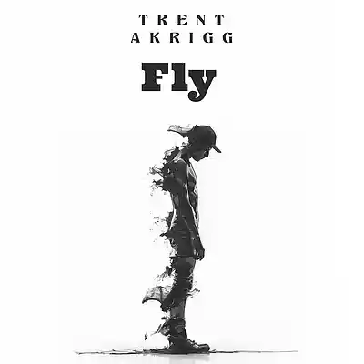 Picture for song 'Fly' by artist 'Trent Akrigg'
