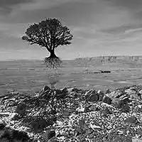 Picture for song 'LIMIT(Prod.whoDeany)' by artist 'whoDeanyBeatz'