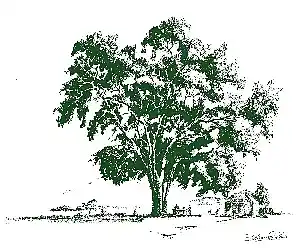 Picture for song 'Grandpa Was A Carpenter (duet)' by artist 'agmjammer'