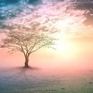 Picture for song 'Faith' by artist 'A..A'